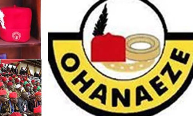 Igbos are Co-owners of Nigeria, say Southeast Leaders